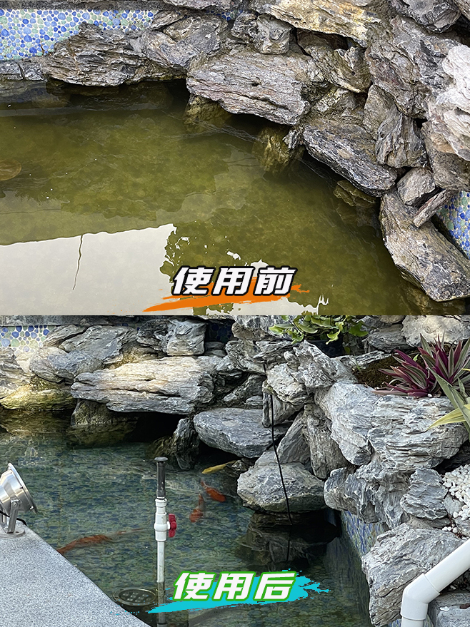 岩石鱼池使用前后对比