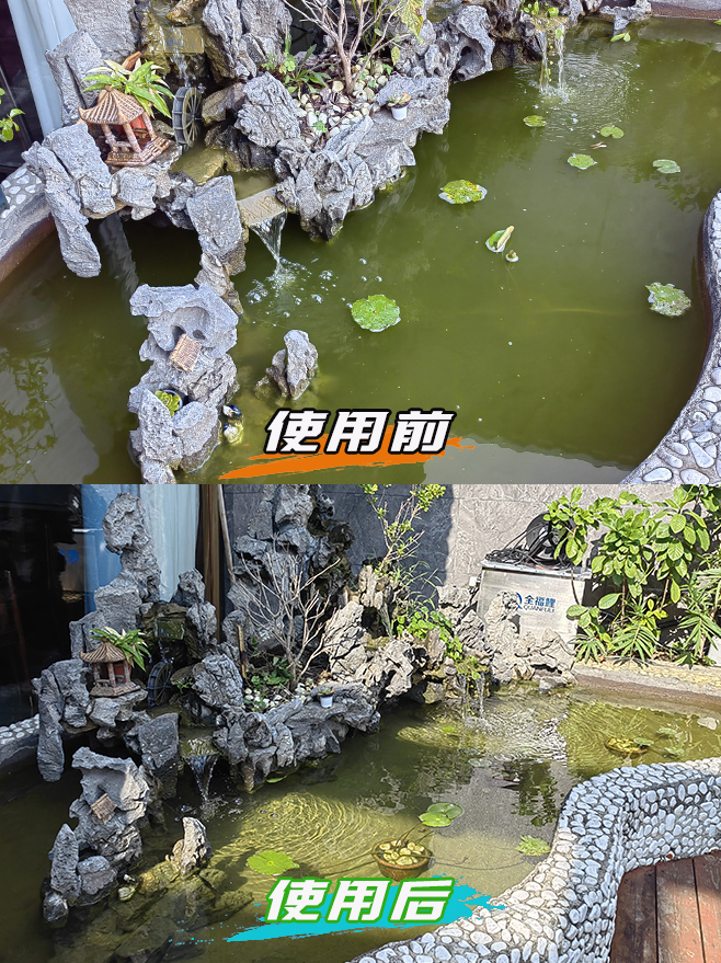 假山鱼池使用前后对比