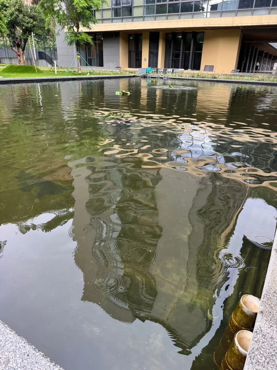 广东实验中学白云校区 300 吨水净化项目