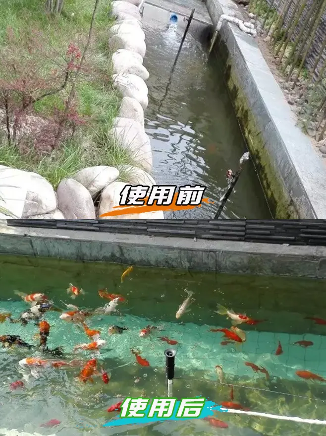 私人别墅锦鲤池过滤案例