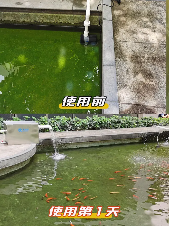 全福鲤过滤器使用前后对比案例集